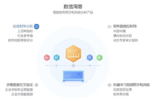 數(shù)行科技 智能財務反欺詐和風險分析服務提供商 監(jiān)管科技案例
